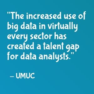 "The increased use of big data in virtually every sector has created a talent gap for data analysts." - UMUC