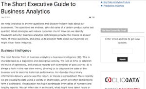 The Short Executive Guide to Business Analytics