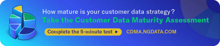 Customer Data Maturity Assessment